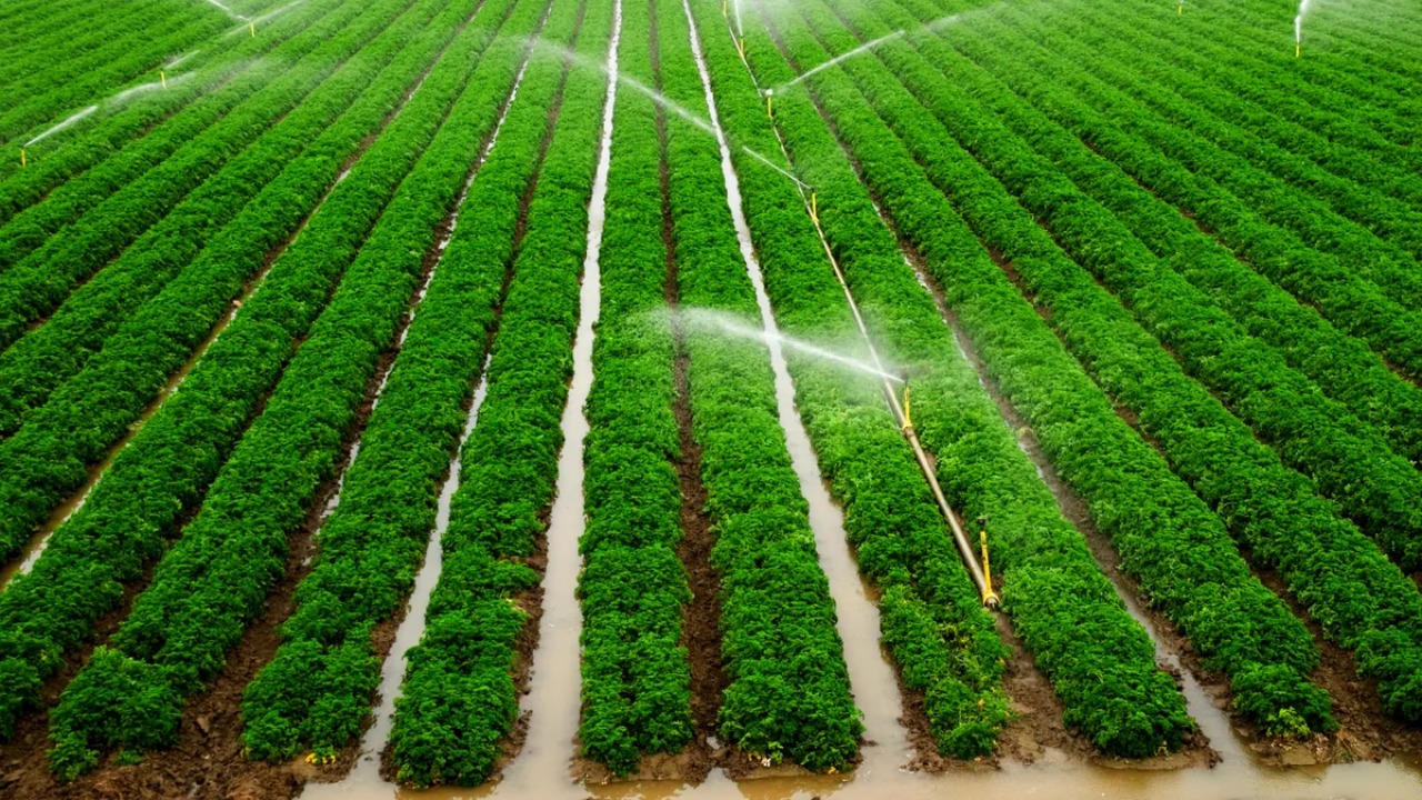 Irrigation Problems in India 