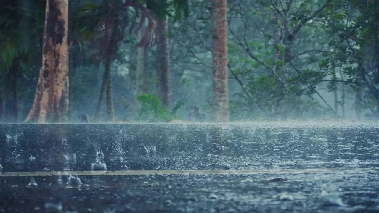 Decoding the Early Monsoon