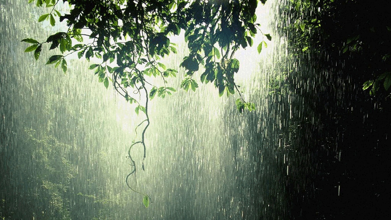 Early Monsoon in 2025