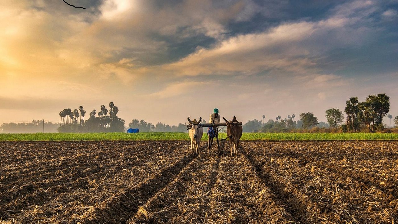 Climate Change and India's Farmers