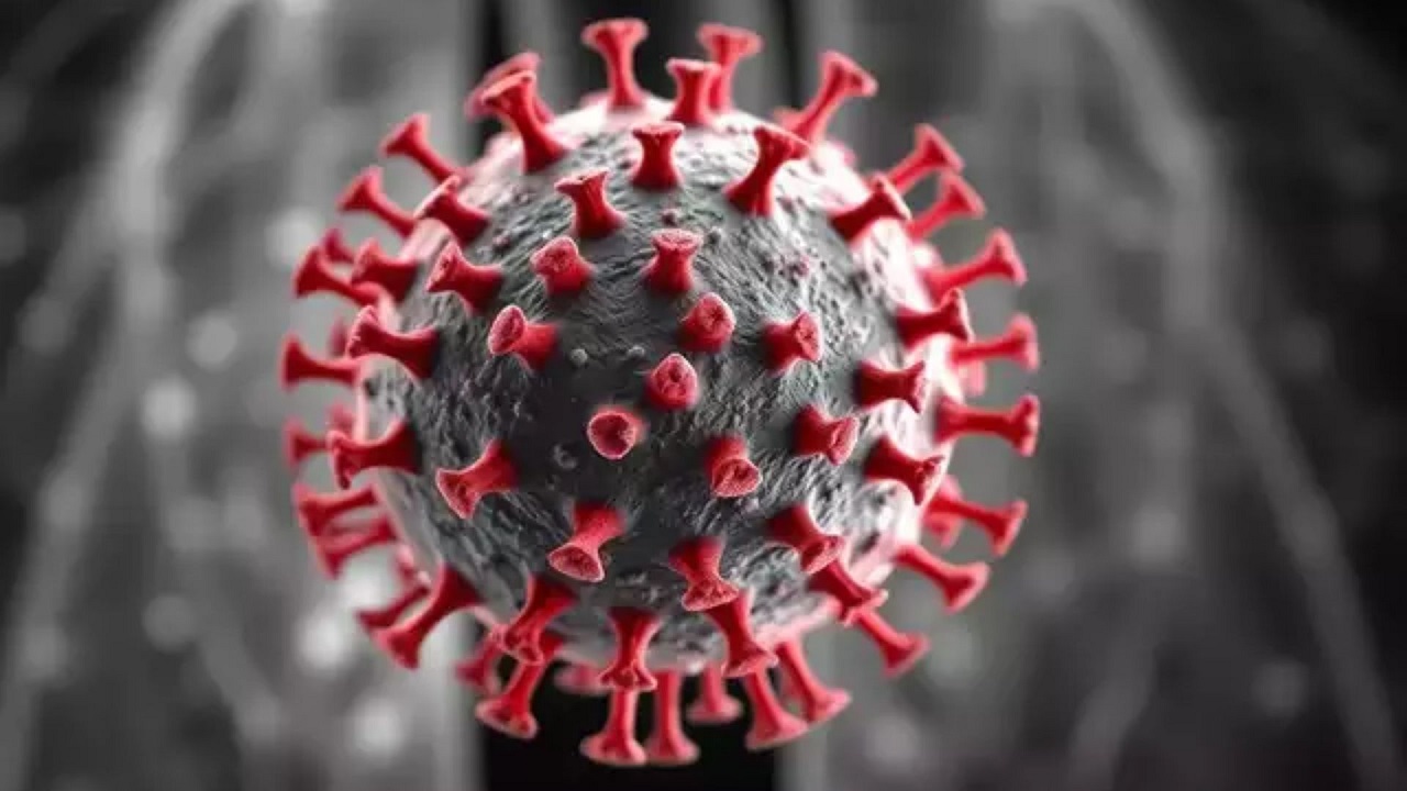 Human Metapneumovirus (HMPV)