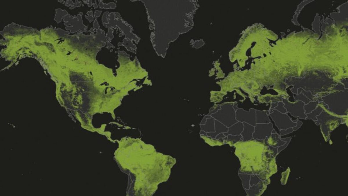 GLOBAL FOREST WATCH (GFW)