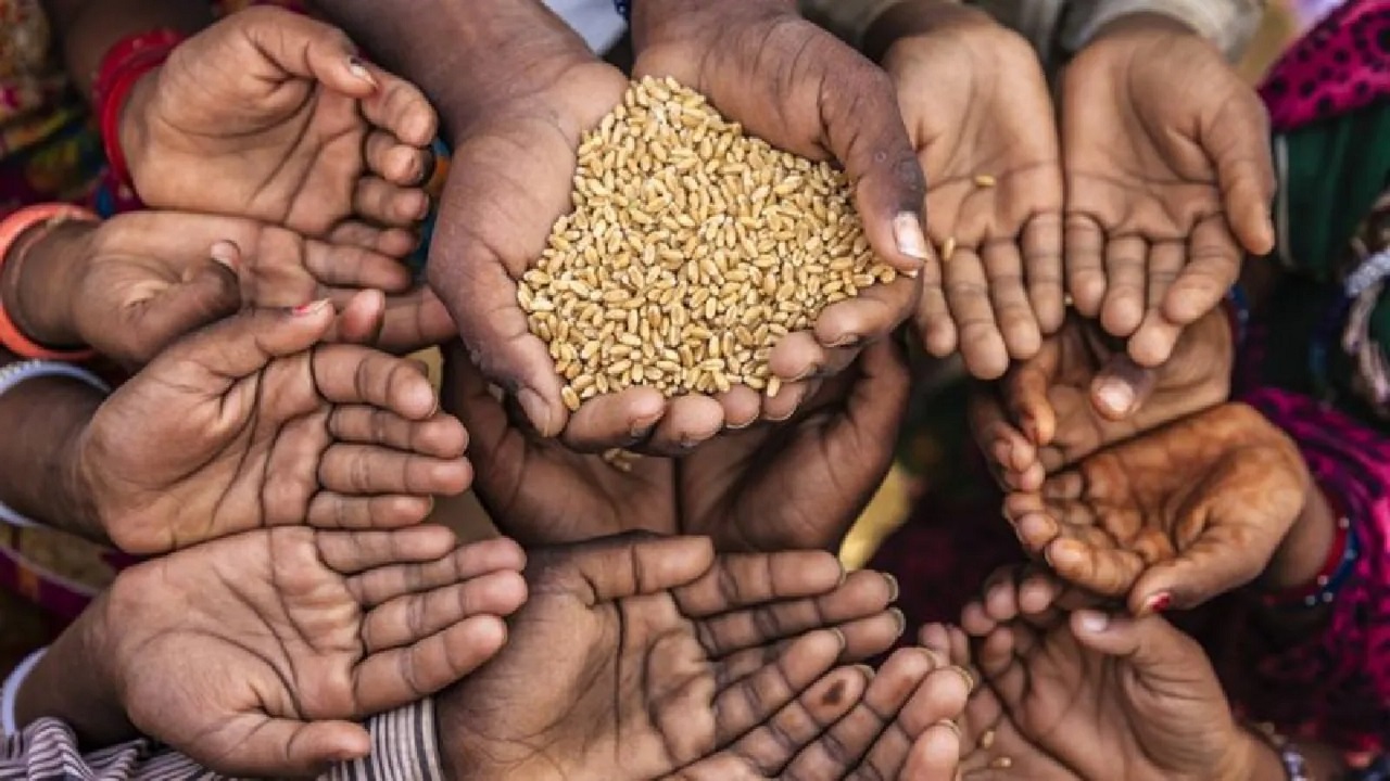 Feeding India: A Hunger-Free Future