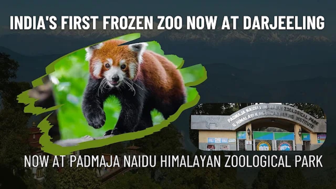 India’s First Frozen Zoo