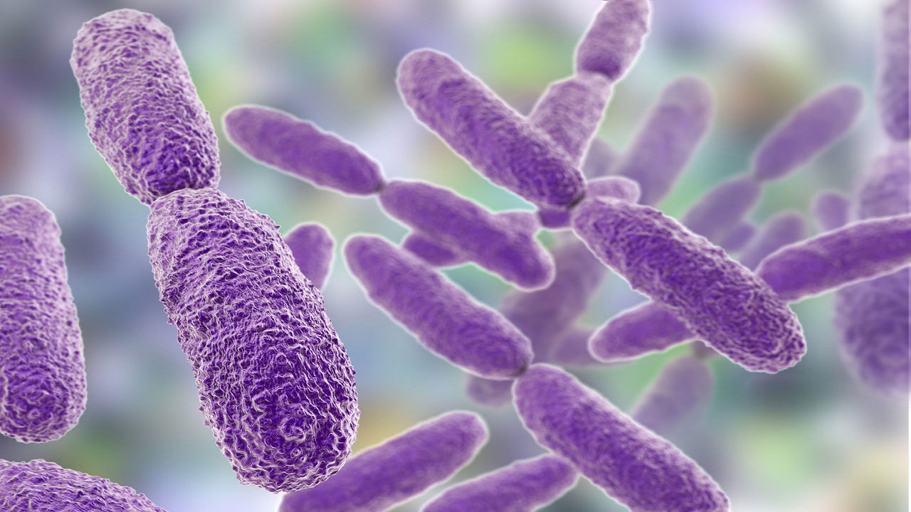 Bacterial Infections in India