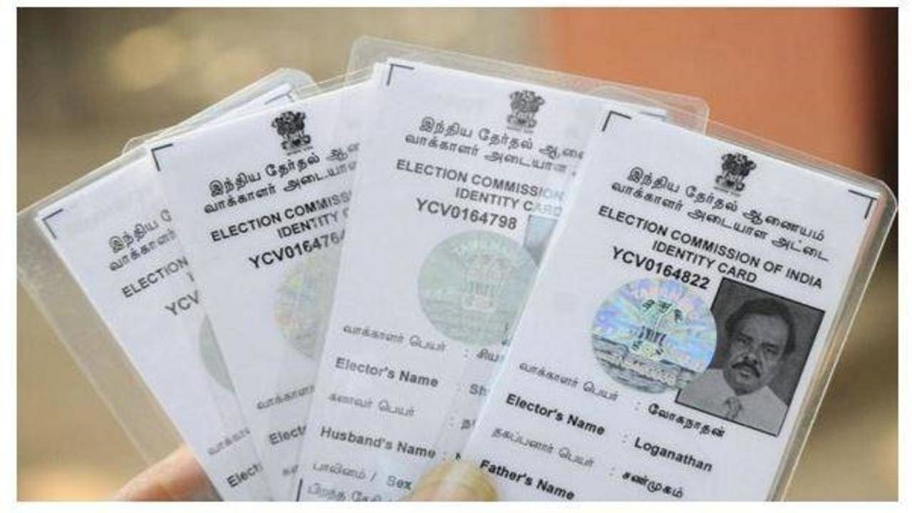 The Voter ID System and Citizenship Verification