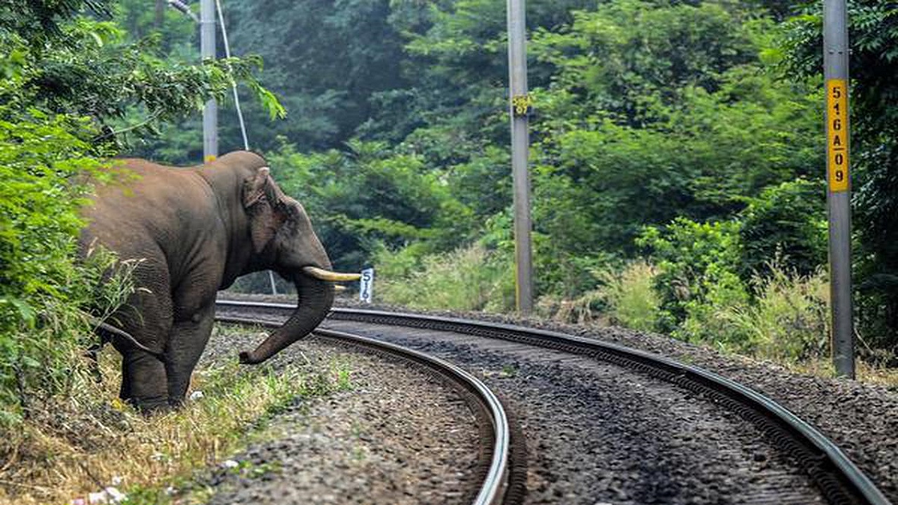 Guarding Giants on Rails 