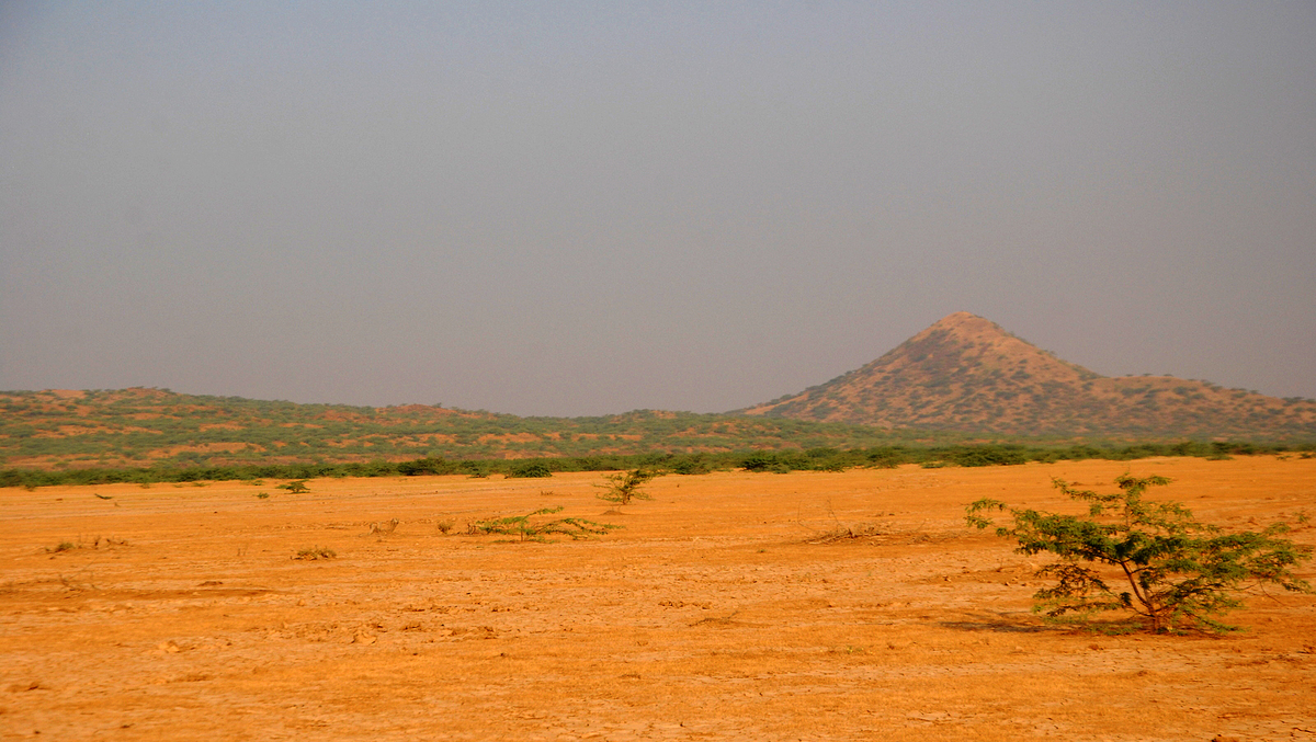 BANNI GRASSLANDS