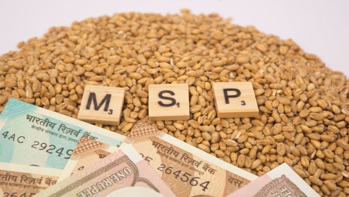 MINIMUM SUPPORT PRICE (MSP)