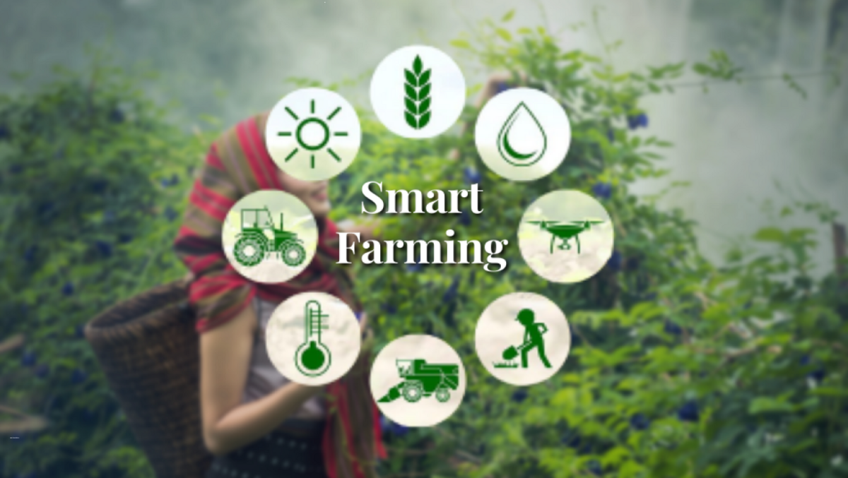 Climate-smart agriculture in India